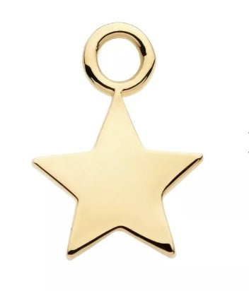 IN yg plain star charm