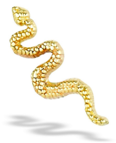 BG tl yg snake