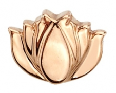 BVLA tl rg flat lotus