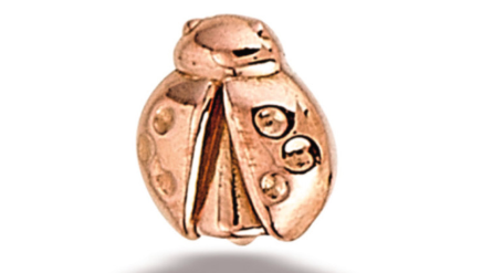 BG tl rg lady bug