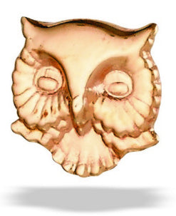 BG tl rg owl