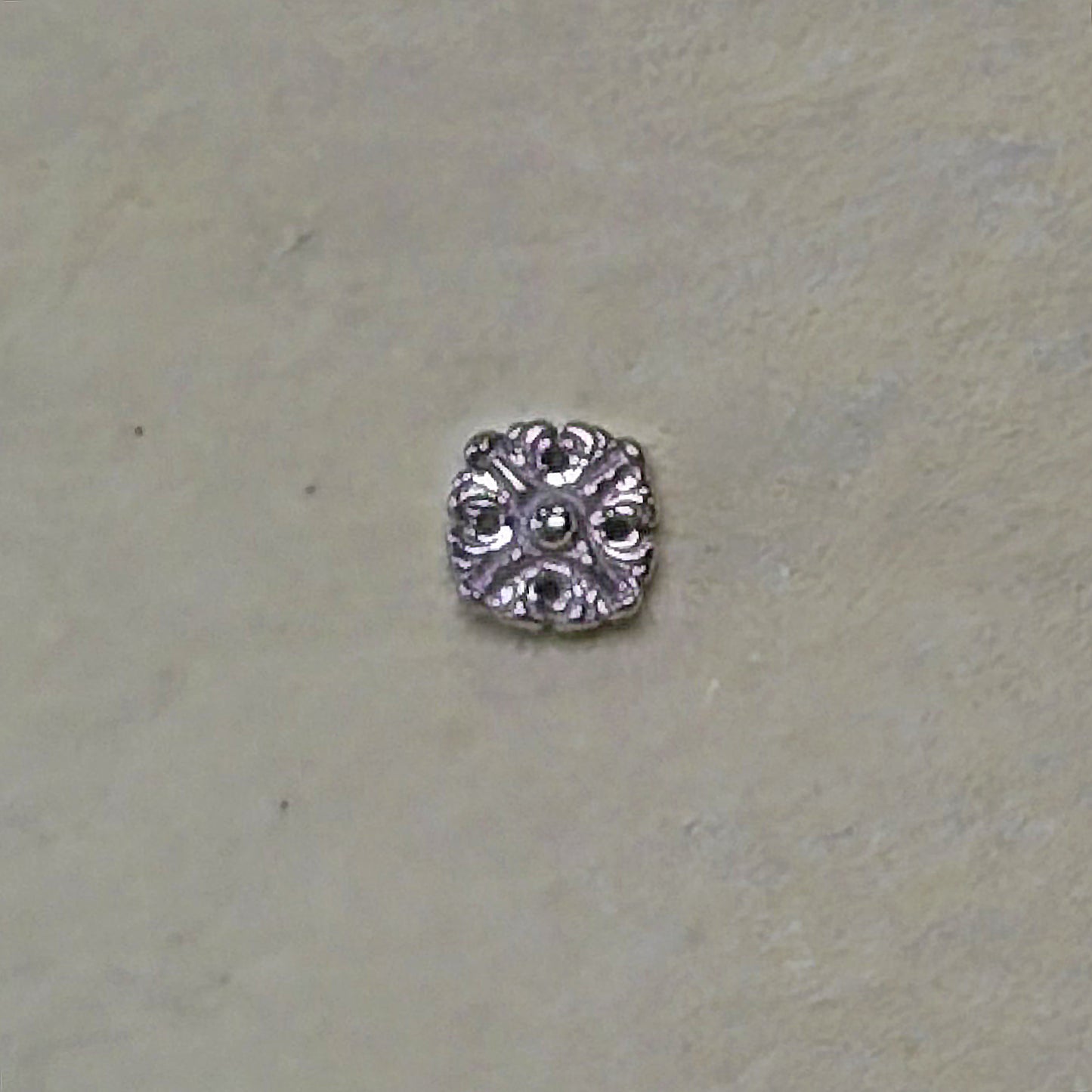 AD tl wg honesty disk 2.5mm
