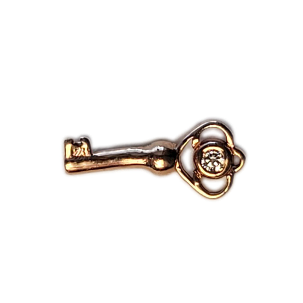 BG tl rg skeleton key w/cz