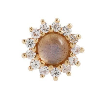 BJ tl yg delphine w/lab