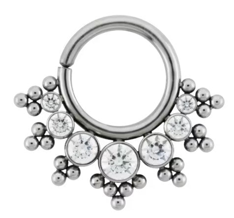 Titanium Seamless & Fixed Rings – CM HURT PIERCING & JEWELRY