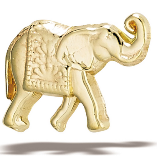 BG tl yg elephant