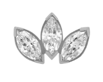 AN tl marquise fan